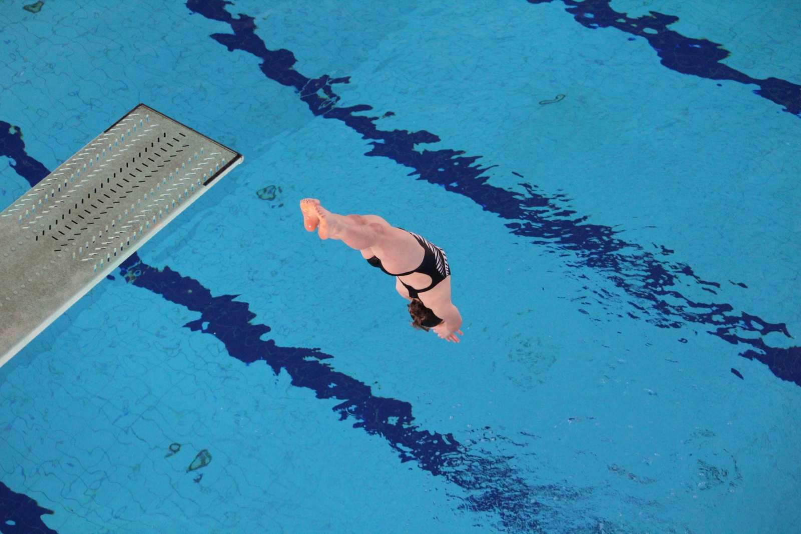 CIS Diving Nominations to AICES 2025